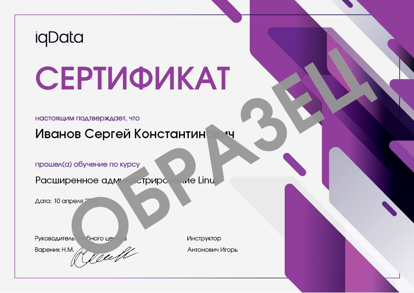 сертификат iqData об обучении на курсе